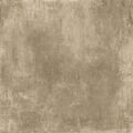 Soft Taupe 800x800